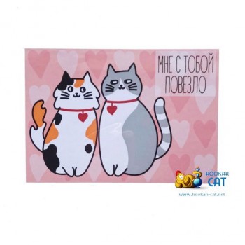 Открытка КОТКА - Мне С Тобой Повезло - купить в Москве с доставкой по России